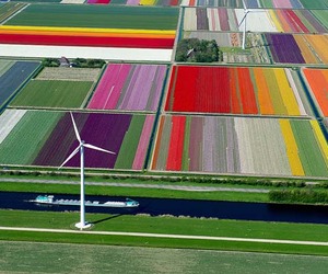 Gorgeous-aerial-photos-of-tulip-fields-in-the-netherlands-m