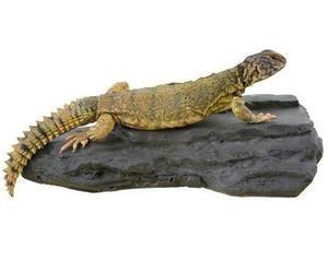 Granite-rock-magnetic-decor-from-magnaturals-m