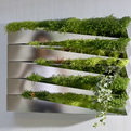 Grass-mirror-by-h2o-architectes-s