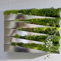 Grass-mirror-by-h2o-architects-s