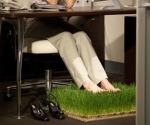 Great-office-carpet-m