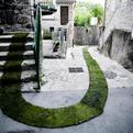 Green-grass-carpet-running-through-france-s