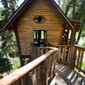 Green-line-architects-tree-house-s