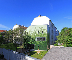Green shingles
