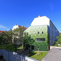 Green-shingles-s
