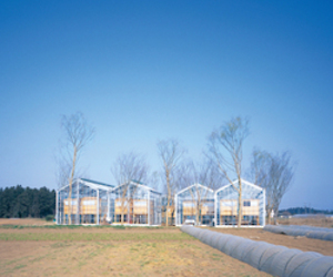 Greenhouse-commune-in-japan-m