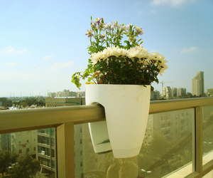 Greenpo-planters-m