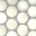Habitus-palm-mosaic-tile-s