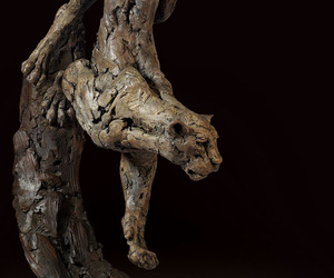 Hamish-mackies-animals-as-art-exhibit-m