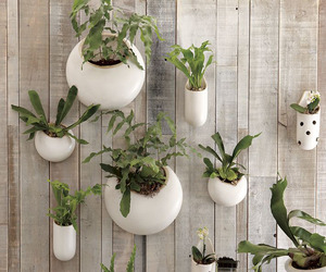 Hanging-garden-m