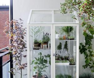 Harvest-your-balcony-2-m