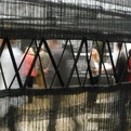 Haus-der-kunst-munich-s