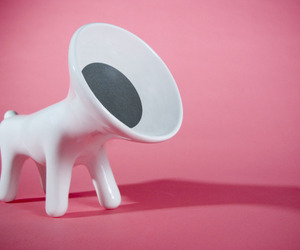 Hi-fido-m