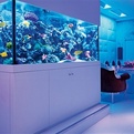 Home-think-tanks-s