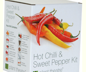 Hot-chilli-sweet-pepper-kit-m