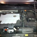How-to-choose-a-green-automobile-s