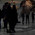 Humus-giuseppe-licaris-installation-with-trees-roots-s