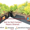 Hybrid-green-roof-system-from-liveroof-s