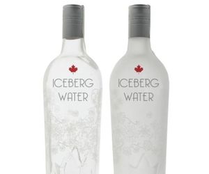 Iceberg-water-the-purest-m