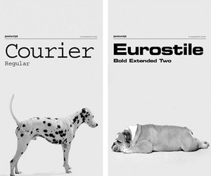 If-fonts-were-dogs-2-m