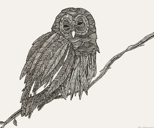 Illustrations-by-vilmoncela-m