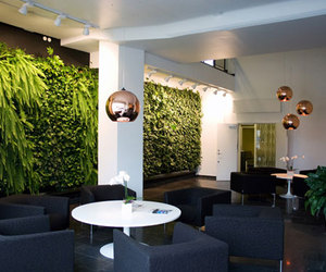 Indoor-vertical-garden-green-fortune-m