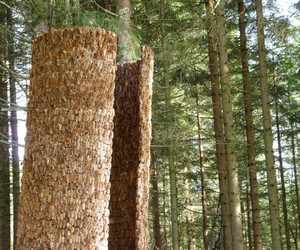 Inner-forest-landscape-pavilion-m