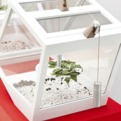 Insects-seeing-is-believing-s