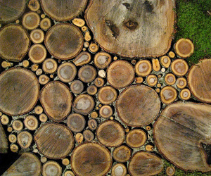 Inspiration-wood-slice-walkway-m