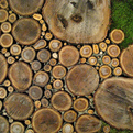 Inspiration-wood-slice-walkway-s