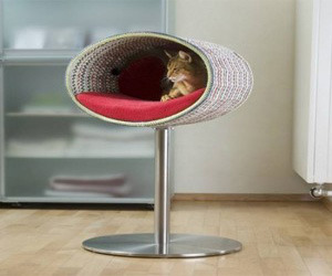 Interesting Unique Cat Bed Accessory
