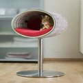 Interesting-unique-cat-bed-accessory-s