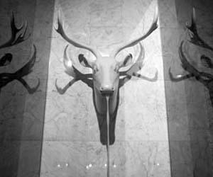 Italian-moose-shower-head-m