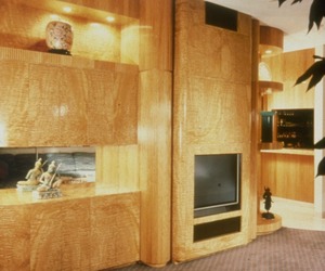 Jacarandas-sanfoot-and-sanply-veneer-2-m
