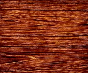 Jagorta-light-transmitting-veneered-panels-m