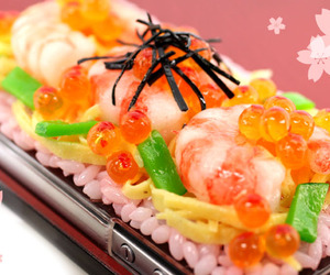 Japanese Food iPhone Cases