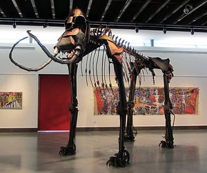 Jud Turner Creates Columbia Mammoth Skeleton 