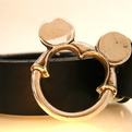 Justice-bodan-for-disney-signature-s