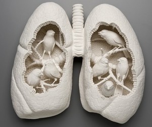 Kate-macdowell-m