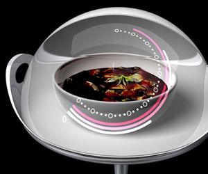 Kaya-future-microwave-oven-with-visual-display-m