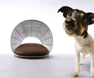Kenneth-cobonpues-modern-pet-lounge-the-operetta-m