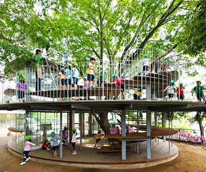 Kindergarten-designed-around-japanese-tree-m