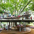 Kindergarten-designed-around-japanese-tree-s