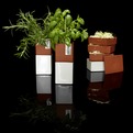 Kitchen-farming-cult-design-s