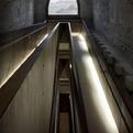 La-biennale-di-venezia-s