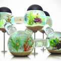 Labyrinth-aquarium-s