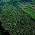 Labyrinthus-437-s
