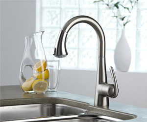 Ladylux3-plus-pull-out-faucet-from-hansgrohe-m