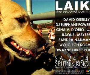 Laika-welcome-m