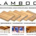 Laminated-bamboo-panels-lamboor-panel-layup-options-3-s